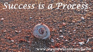 Success is a process
